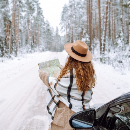 What Kind of Winter Traveler Are You